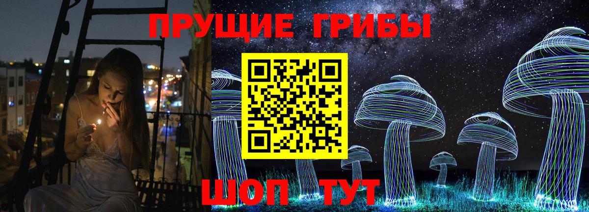 Галлюциногенные грибы Psilocybine cubensis  Вход с VPN  Корсаков  Псилоцибиновые грибы мухоморы 